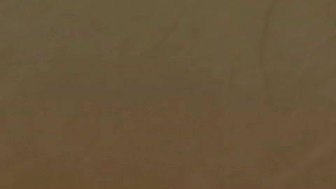 No es una esperanza infantil ni la simple creencia de que algo bueno va a suceder: se trata de un estado proactivo de la mente.