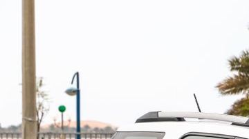 shutterstock_1249293553