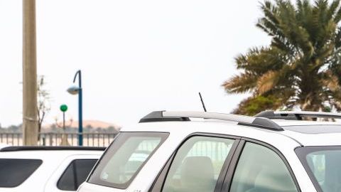 shutterstock_1249293553