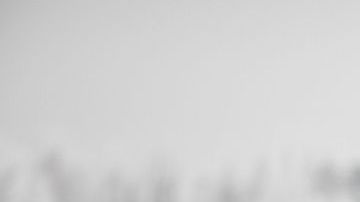 shutterstock_1295690332