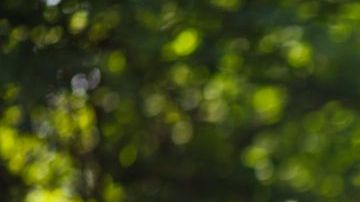 shutterstock_151647728