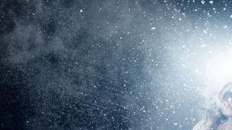 Hasta ahora, la inmortalidad es un sueño.