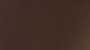 shutterstock_217582243