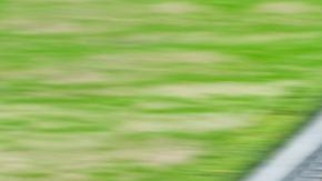 shutterstock_244358851