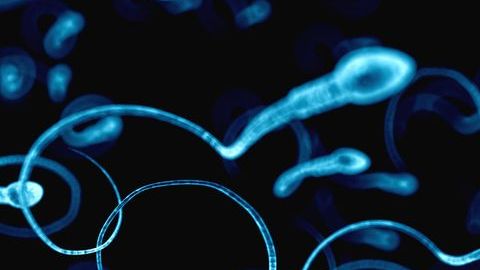 El esperma también envejece.