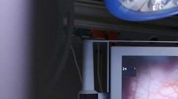 shutterstock_382154677