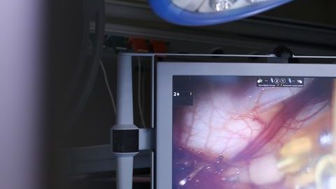 shutterstock_382154677