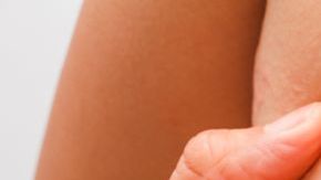 shutterstock_421337188