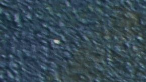 shutterstock_557452129