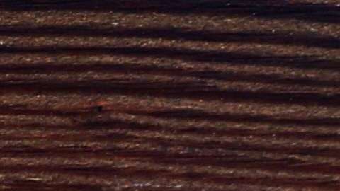 shutterstock_568229575