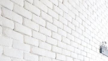 shutterstock_619057403