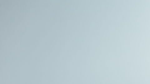 shutterstock_655128229