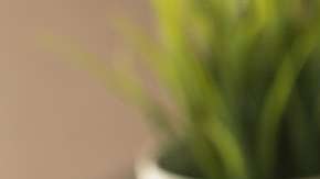 En ocasiones, Facebook puede ser herramienta de extorsionadores.