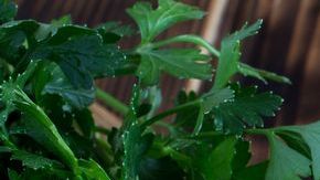 shutterstock_686270626