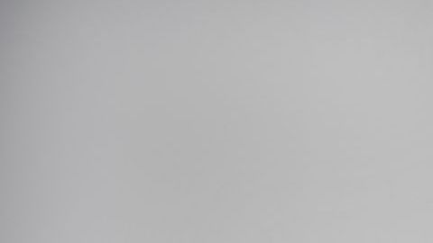 shutterstock_727097578