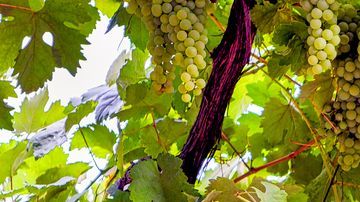 shutterstock_728940859