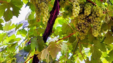 shutterstock_728940859