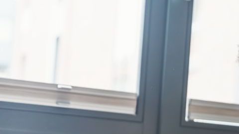 shutterstock_739789339