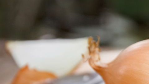 shutterstock_753583324