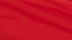 shutterstock_770903695