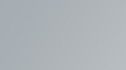 shutterstock_788199355 (1)