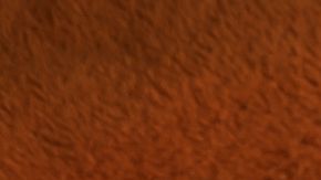 shutterstock_789017506