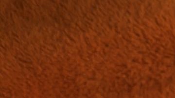 shutterstock_789017506