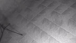 El sicario pidió que lo identificaran como “Francisco”.