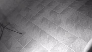 El sicario pidió que lo identificaran como “Francisco”.