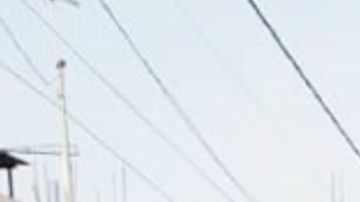 En guerra entre "El Mencho" y "El Marro" ni a los niños se salvan