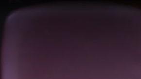 Anna Sorokin, alias Anna Delvey