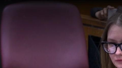 Anna Sorokin, alias Anna Delvey