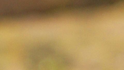 La mujer enloqueció cuando vio la araña en sus piernas.