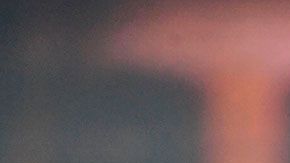 La compañía no escatimó para proteger a su CEO después del atentado.