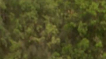 El volante peruano Renato Tapia podría llegar al Cruz Azul mexicano.