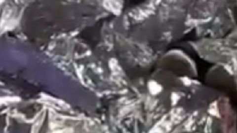 Las fotos fueron tomadas por una fuente anónima.