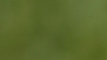 Las borracheras en EEUU son cosa de cada semana.