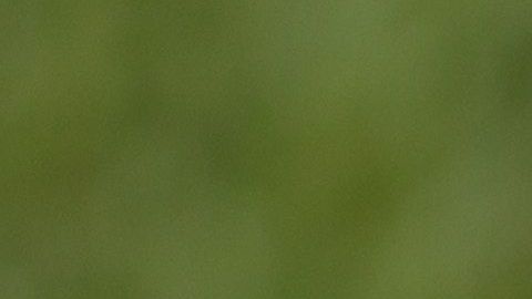 Las borracheras en EEUU son cosa de cada semana.