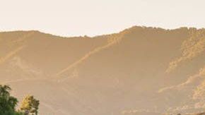 toyota-prius-prime-2019