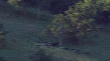 Una de las imágenes presentadas en el 
Informe de Actualización del Proyecto a la Legislatura del Estado de California.