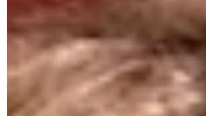 El ataque ocurrió en Majestic Elegance Resort de Punta Cana, República Dominicana.