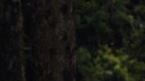 La marchista mexicana Lupita González.