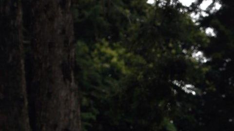 La marchista mexicana Lupita González.