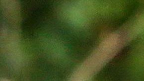 Valeria Sofía Rodríguez, la ganadora de "Exatlón 2" en Telemundo