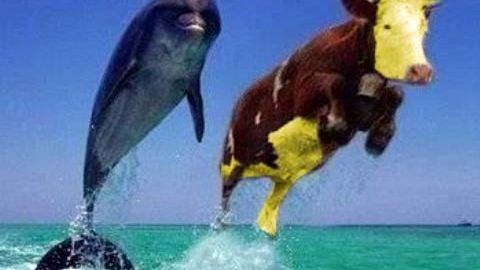 Ser burlan del legislador mexicano en las redes sociales.