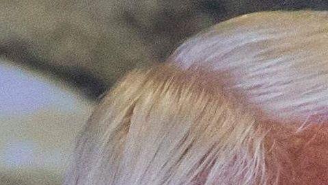 Laura Zapata defiende a Vicente Fernández