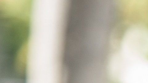 MIA17. MIAMI (FL, EE.UU.), 06/11/2018.- Grupos de personas asisten a votar hoy, martes 6 de noviembre de 2018, en un colegio electoral de Miami Beach, Florida (EE.UU.). Los ciudadanos de Florida votan hoy en las elecciones intermedias que más interés han despertado en las últimas décadas, marcadas por una alta participación en la votación adelantada y con la atención puesta en la gobernación, que puede volver a manos del Partido Demócrata por primera vez desde 1999. Alrededor de un 38 % de los más de 13,2 millones de ciudadanos registrados para votar en este estado ya han sufragado por correo o por adelantado, y los partidos mayoritarios esperan que la participación también sea récord en la jornada electoral de hoy. EFE/Giorgio Viera