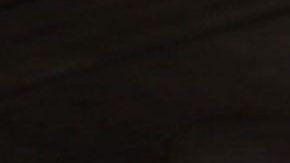 Warren sigue ganando terreno entre los demócratas