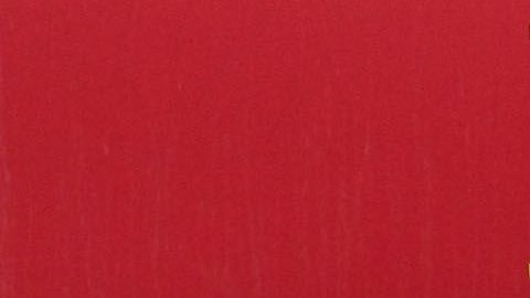 El FBI detuvo a Figueroa en un operativo del 2018 que desmanteló la organización que operaba entre EEUU y México.