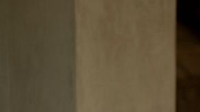 Renée Zellweger en "What/If"